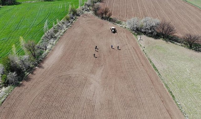 TMO hububat alım fiyatları güncellendi
