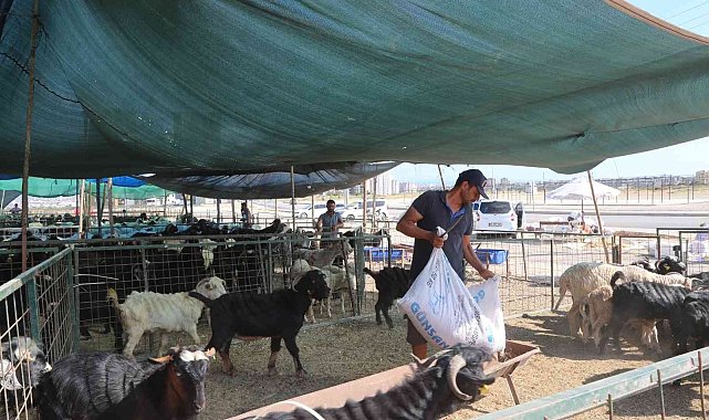Toroslar&#039;da kurban satış ve kesim alanları hazırlandı