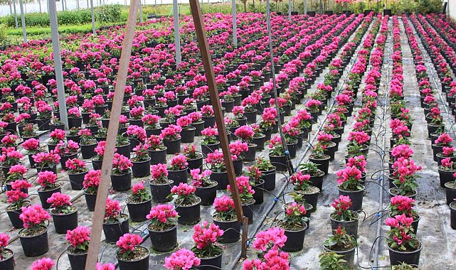 TÜRKTOB ve SÜSBİR&#039;den KDV&#039;de indirim talebi