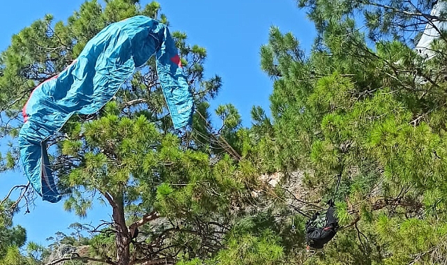 Yamaç paraşütü pilotu ağaçta asılı kaldı