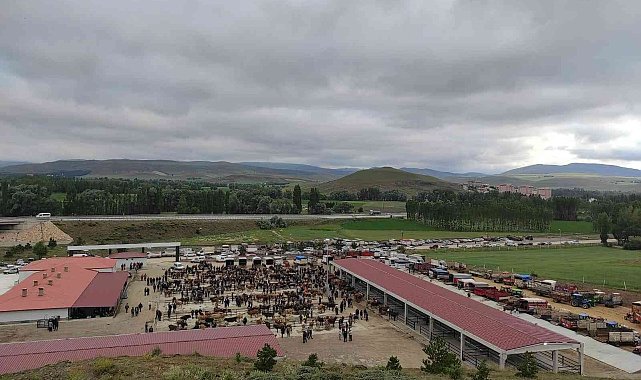 Yıldızeli Canlı Hayvan Pazarı hizmete girdi