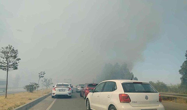 Yol kenarında çıkan yangın, sürücülere zor anlar yaşattı