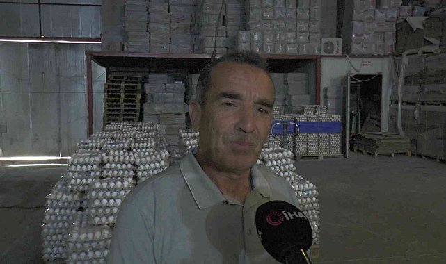 Yumurta üretimi durma noktasında