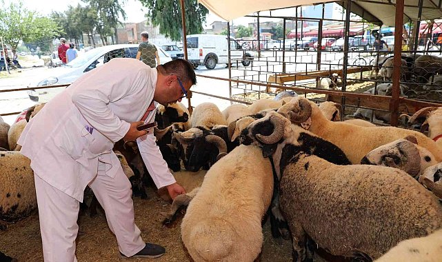 Yüreğir&#039;de kurban satış ve kesim yerleri belirlendi