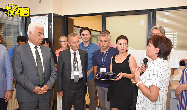 Zeytinyağı tadım eğitimleri yeniden başlıyor