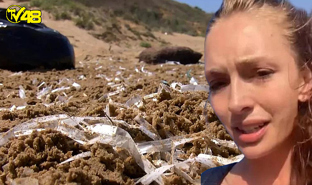 Kilyos sahilini paylaşıp isyan etmişti! Belediye harekete geçti