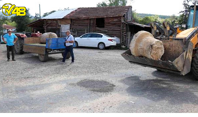 250 yıllık kayıp sütunlar ünlü ailenin villasında ortaya çıktı !