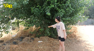 Ağaç altında bulunan bebeği mahalle sakini emzirdi!