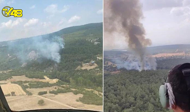 Balıkesir&#039;de orman yangını!