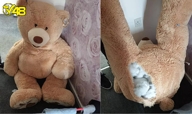 Baskın yapan polisler, oyuncak ayının nefes alıp verdiğini fark edince hırsızı yakaladı