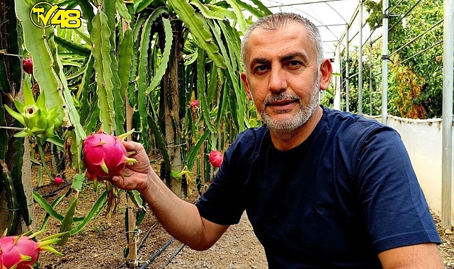 BATARSIN DEDİLER ALDIRMADI ŞİMDİ PARAYI KOYACAK YER BULAMIYOR!