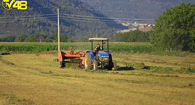 Büyükşehirden Üreticiye Ücretsiz Hayvan Yemi