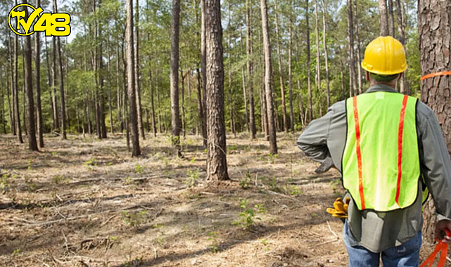 KADEM METE ; &#039;&#039;250 orman işçisi hayırlı olsun&#039;&#039;