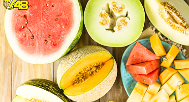 Karpuz ve Kavun Hasadı Bitti: Çiftçinin Yüzü Güldü