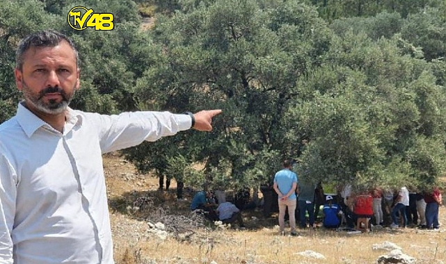 Katlettikleri Ağaçların Gölgesine Sığındılar!Akbelen&#039;de İlginç Görüntü