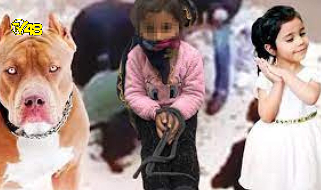 Köpek saldırısına uğrayan küçük kıza annesinden psikolojik eziyet!