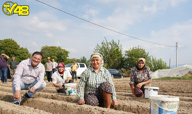 MİLAS BELEDİYESİ&#039;NDEN ÜRETİCİLERE FİDE DESTEĞİ…
