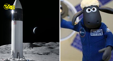 NASA'dan ilginç deney!  Ay'a oyuncak koyun gönderiyorlar