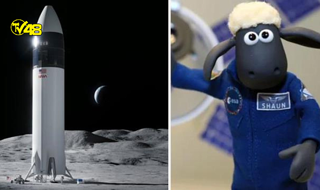 NASA&#039;dan ilginç deney!  Ay&#039;a oyuncak koyun gönderiyorlar