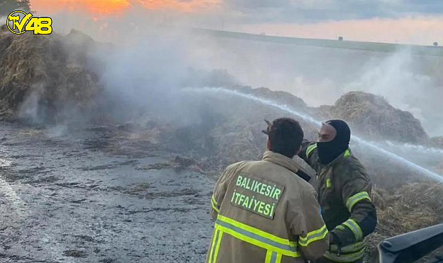 Saman yüklü tır alev alev yandı