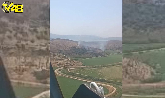 Söke Sarıkemer Mevkiinde Orman Yangını !