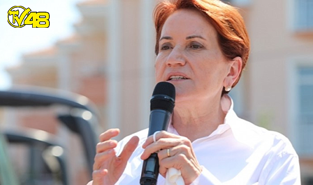 Talihsiz olay! Meral Akşener&#039;i sokak köpeği ısırdı