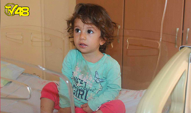 yılan onu ısırdı,oda yılanı ısırdı