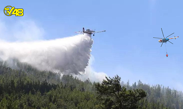 Alanya’da Çıkan Orman Yangını Kontrol Altında