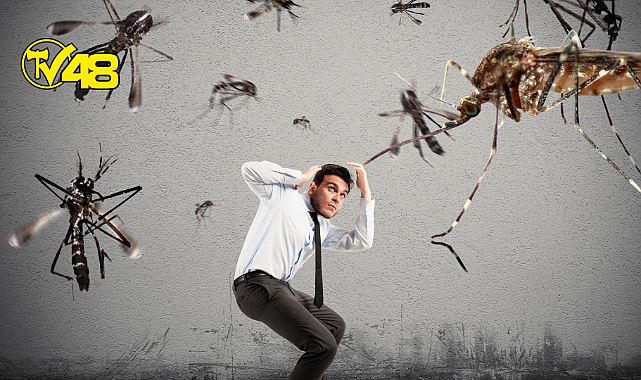 &#039;Batı Nil Virüsü&#039; tehlikesi! Türkiye için uyarı geldi!