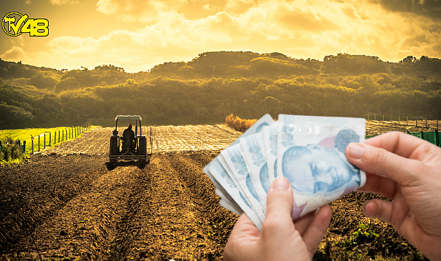 Çiftçilere Müjde! Tarımsal Destek Ödemeleri Bugün Yapılacak