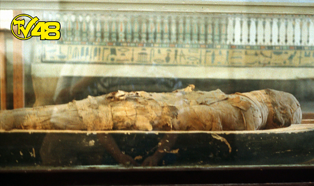 Gizemli hareketler sergileyen ailenin evine giren polisler mumyayla karşılaştı