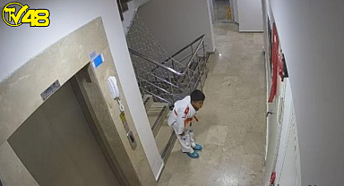 Kendisi küçük, yüreği büyük!