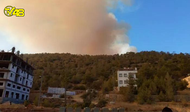 Mersin&#039;de orman yangını! Yerleşim yerleri boşaltıldı!