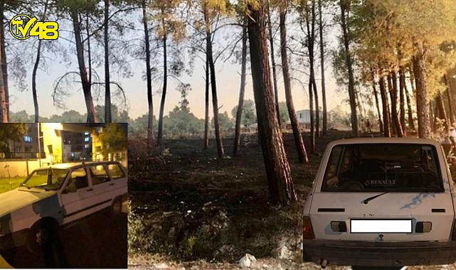 Muğla Dalaman&#039;da Maytapla Ormanı Yaktılar