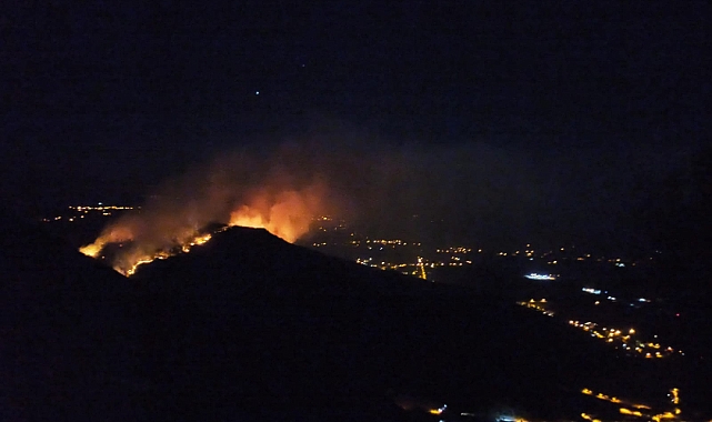 Muğla Gökova&#039;daki orman yangını kontrol altına alındı