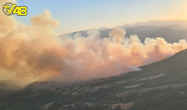 Muğla Sınırında Yangın Söndürme Çalışmaları Tüm Hızıyla Devam Ediyor