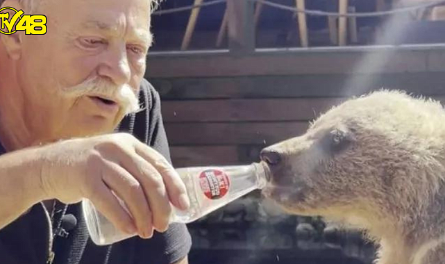 Nuri Alço yavru ayıya elleriyle gazoz içirdi