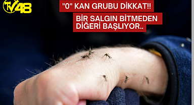 Sivrisinekler Hastanelik Etmeye Başladı