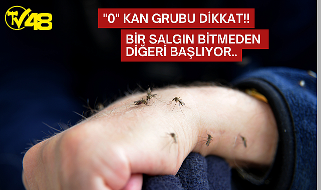 Sivrisinekler Hastanelik Etmeye Başladı