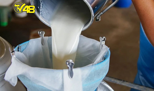 USK&#039;DAN ÇİĞ SÜTE ZAM!