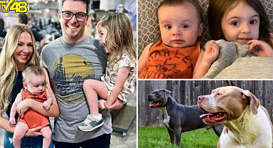8 yıldır baktıkları pitbulllar saldırdı! Ailenin 2 bebeği saldırı anında yaşamını yitirdi