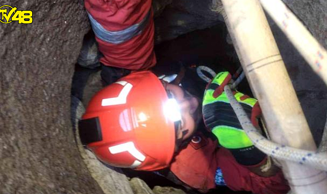 Bodrum&#039;da 10 metrelik kuyuya düşen yavru kediyi itfaiye kurtardı