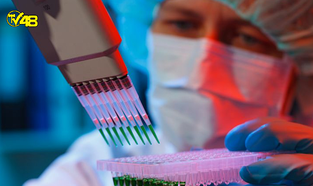 Kanser tedavisi için ümit veren adım