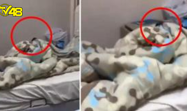 Kız öğrenci yurdunda korku dolu anlar! Odalarında görünce çığlık atıp kaçtılar