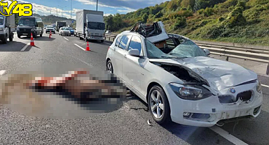 Lüks araç yola çıkan ata çarptı! Sürücü yaralı, at ise öldü