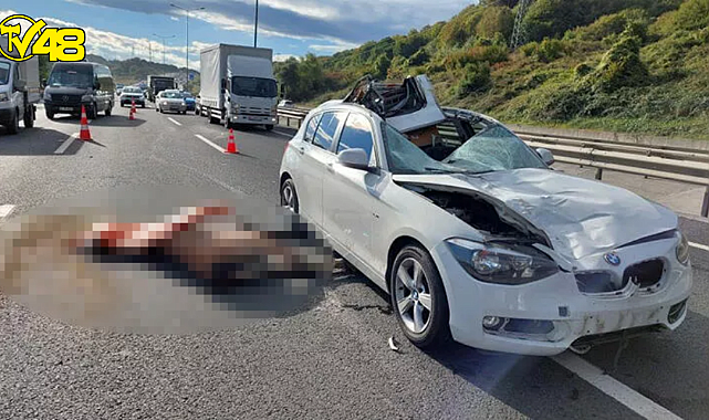 Lüks araç yola çıkan ata çarptı! Sürücü yaralı, at ise öldü