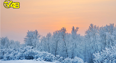 Meteoroloji Tahminleri Yanıltmadı Artvin Karla Buluştu!