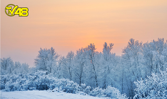 Meteoroloji Tahminleri Yanıltmadı Artvin Karla Buluştu!
