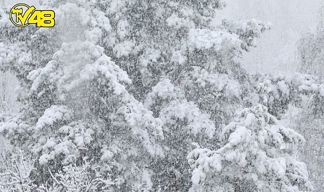 Meteoroloji Uyardı! Kar Yağışları Geliyor