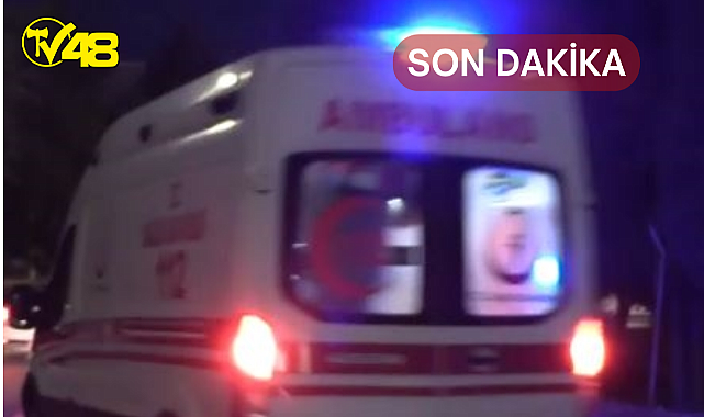 Milas&#039;ta Bir Kişi Yol Kenarında Ölü Bulundu